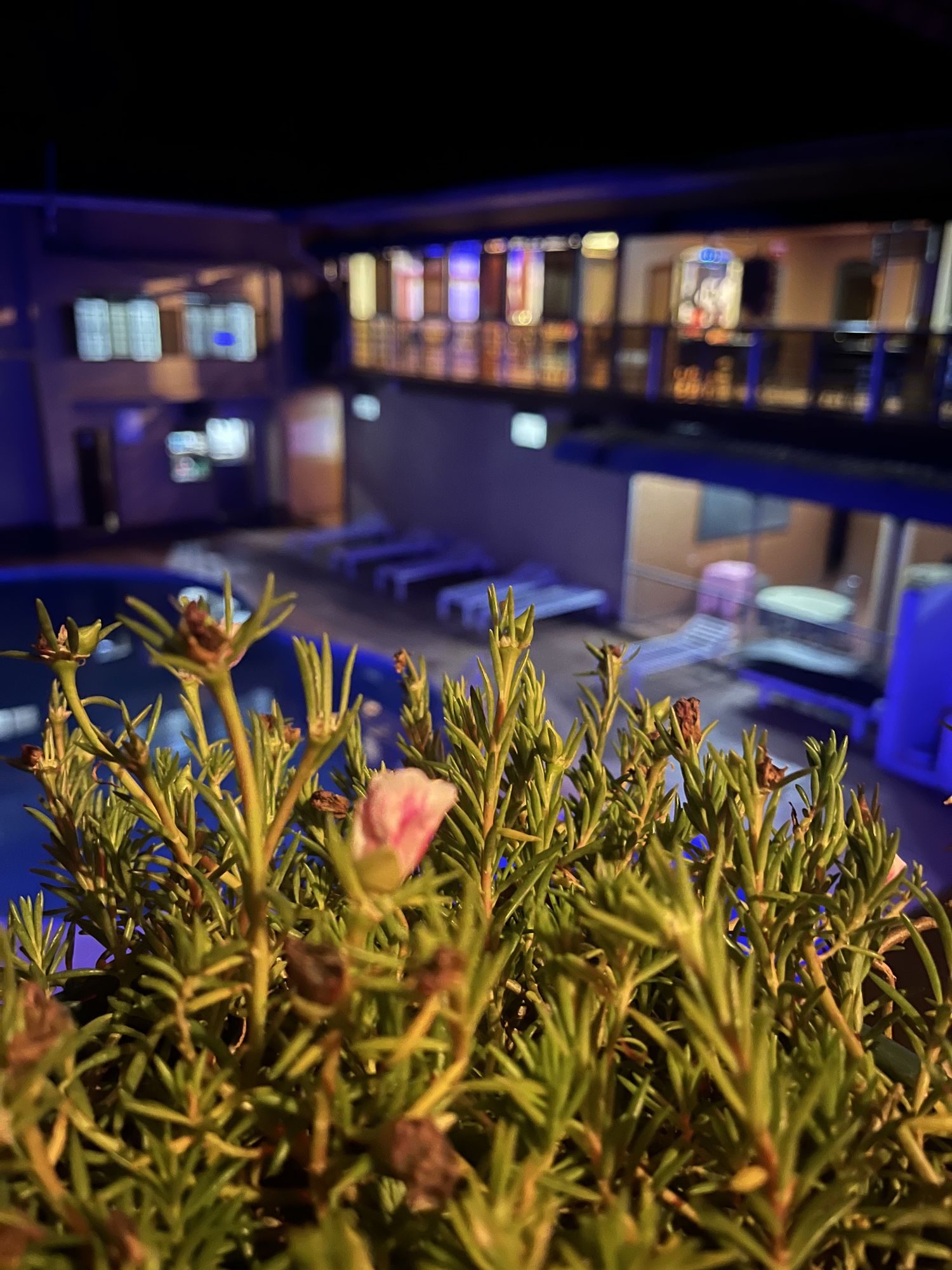 Pool terrace and hotel rooms in the evening